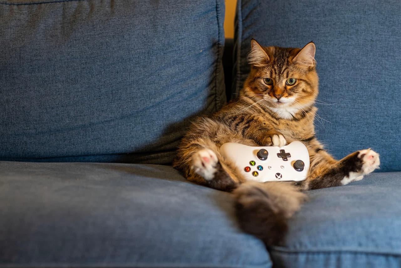 Comment les jeux vidéo favorisent la créativité des joueurs